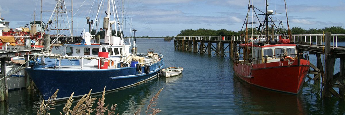 Wooden Boats: How to survey - The International Institute of Marine  Surveying (IIMS)